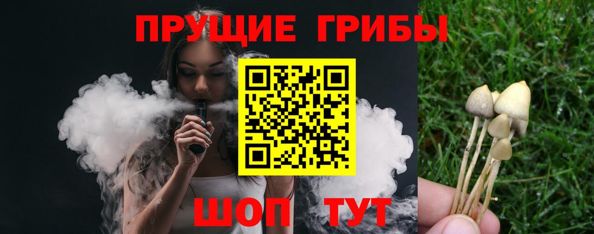 Псилоцибиновые грибы Psilocybe  Вход с VPN  Брянск 